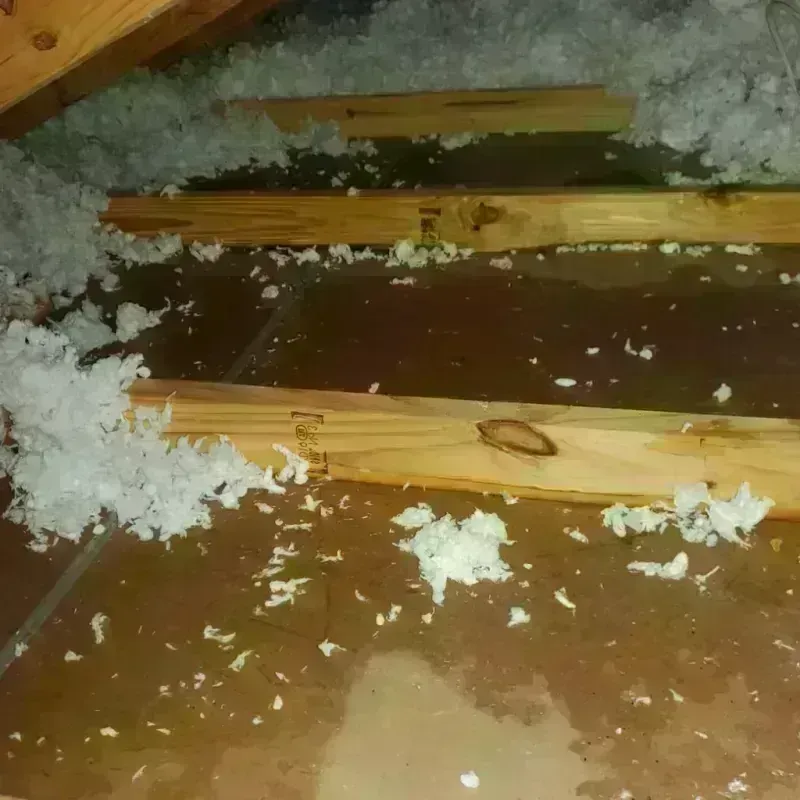 Attic Water Damage in Ford Heights, IL