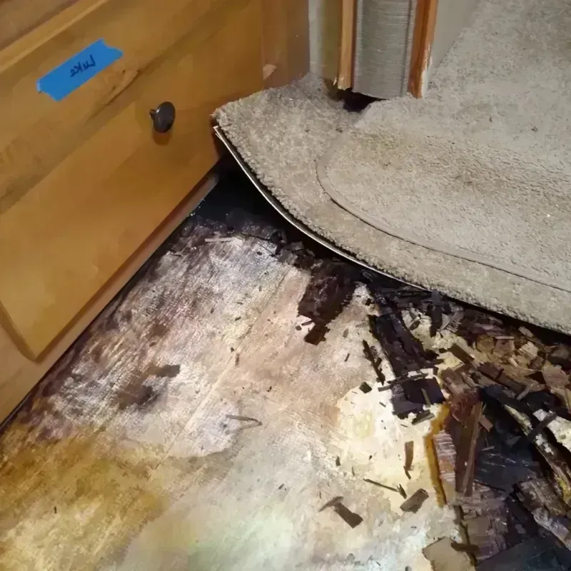 Wood Floor Water Damage in Ford Heights, IL